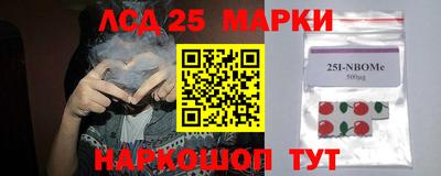 a pvp Гагарин