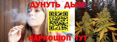 дмт Гай