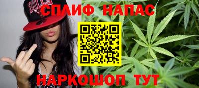 дмт Гай