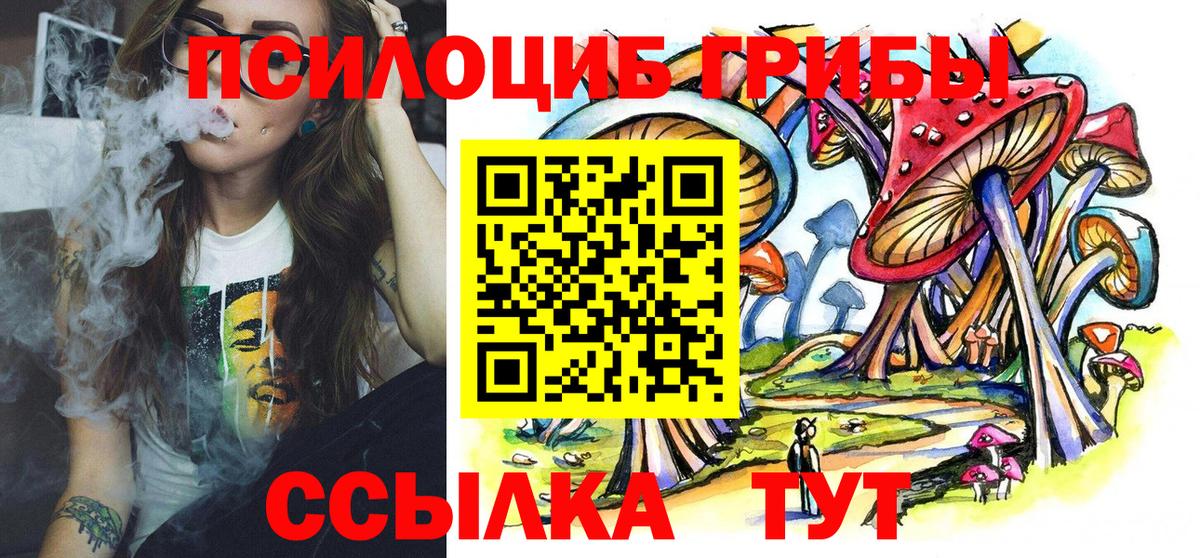 Псилоцибиновые грибы GOLDEN TEACHER Новочеркасск
